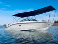 Sea Ray SPX 210 Sportboot