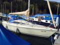 Maxi Pelle Petterson fenix maxi 28 Yacht a vela