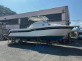 Boston Whaler BOSTON 305 CONQUEST Motoryacht