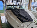 Sea Ray Sundancer 265 Kajütboot