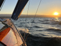 Tofinou 8 Daysailer