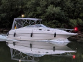 Monterey 262 CR Sportboot