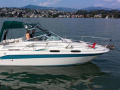 Sea Ray 230DA Wasserski