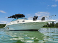 Sea Ray 270 Sundancer Motoryacht