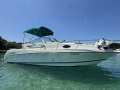 Rinker 265 Fiesta Vee Semicabinato
