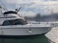 Blackfin 38 CONVERTIBLE Flybridge