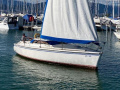 Kelt29 Segelyacht