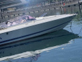 Bruno Abbate Primatist 27 Sport Boat