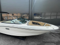 Sea Ray SPX 190 Sportboot