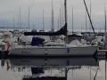 Dehler 36 CWS Yelkenli yat