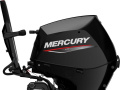Mercury F 25 ELHPT EFI Fuoribordo