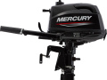 Mercury F 5 MLH Außenbordmotor