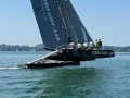 Decision D35 Catamaran