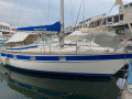 Hallberg-Rassy 352 Segelyacht