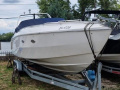 Wellcraft SCARAB 34 GRATIS HAUSLIEFERUNG CH Bateau offshore