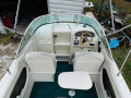 Sea Ray 225 Sportboot
