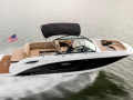 Sea Ray 250 SDX Sportboot