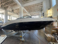 Sea Ray 230 SSE Sportboot
