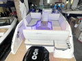 Sea Ray 250 SDO Sportboot