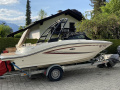 Sea Ray SPX 19 Bowrider