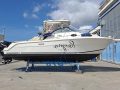 Wellcraft 290 Coastal FB Sportboot