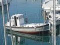 "Schlickrutscher",Junge-Ri&szlig; Trawler
