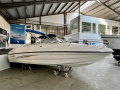 Chaparral 205 SSE Sportboot