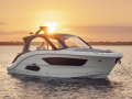 Sea Ray 370 SUNDANCER Hardtop