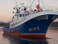 Pesquero Barca da pesca