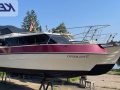 Viking 22 Sportboot