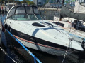 Baja Performance 335 Offshoreboot