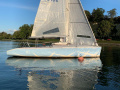 Maxi Dolphin Dolphin 81 Daysailer