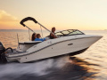 Sea Ray 19 SPX Sportboot