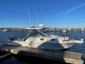 Wellcraft 290 coastal Kajuitboot