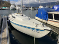 IF Folkeboot Segelyacht