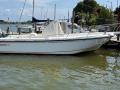 Boston Whaler Outrage 26 Konsolenboot