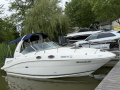 Sea Ray Sundancer 275 Lancha