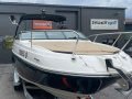 Sea Ray Sun Sport 230 Outboard Sportboot