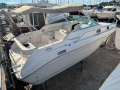 Sea Ray 250 Sundancer Cabin cruiser