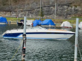 Chris Craft Scorpion 26 Motor Yacht