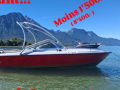 Schweizer Bateaux Saphir 560 Colombia Wakeboard/Wakesurf