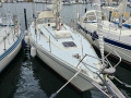 Forgus 35 Yacht hauturier
