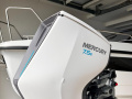 Mercury Avator 7.5 E Aussenborder