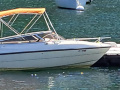 Cranchi Ellipse V8s incl. Trailer Sportboot