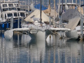 Farrier F82R Trimaran