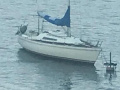 Larsen 25 Raffikus Segelyacht