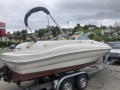 Sea Ray 190 SD Bowrider