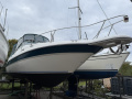 Sea Ray 270 Sundancer Motoryacht