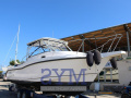 Boston Whaler 285 CONQUEST Sportboot