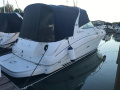 Sea Ray SUNDANCER 315 Motoryacht